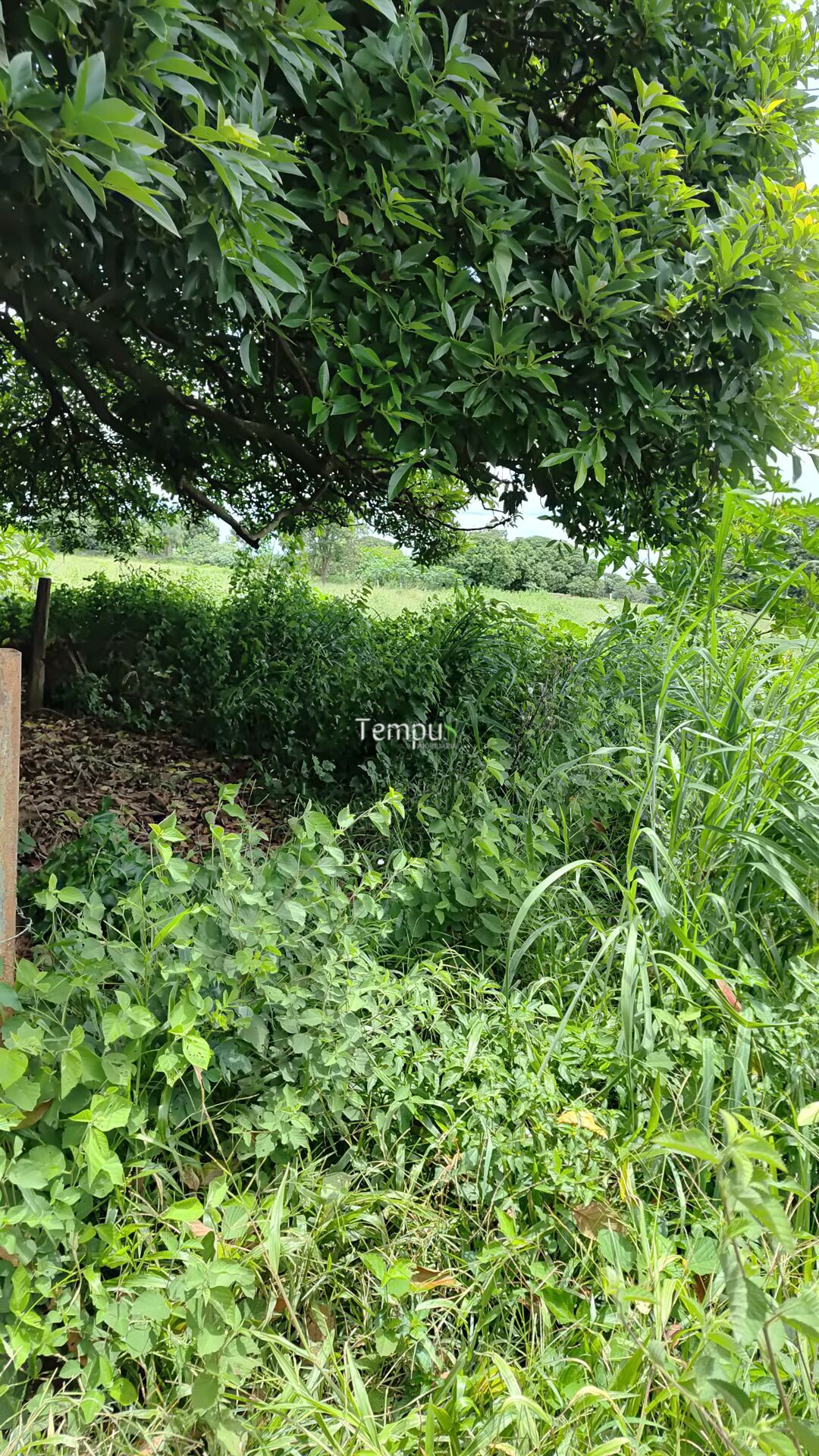 Terreno à venda, 8743m² - Foto 13
