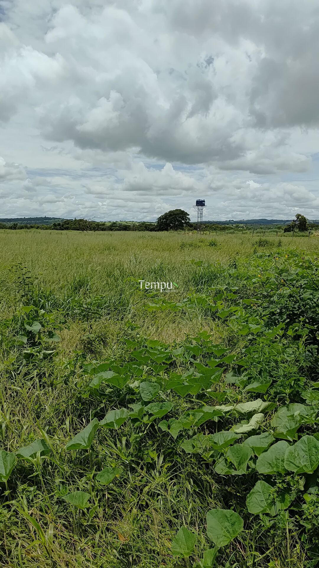 Terreno à venda, 8743m² - Foto 2
