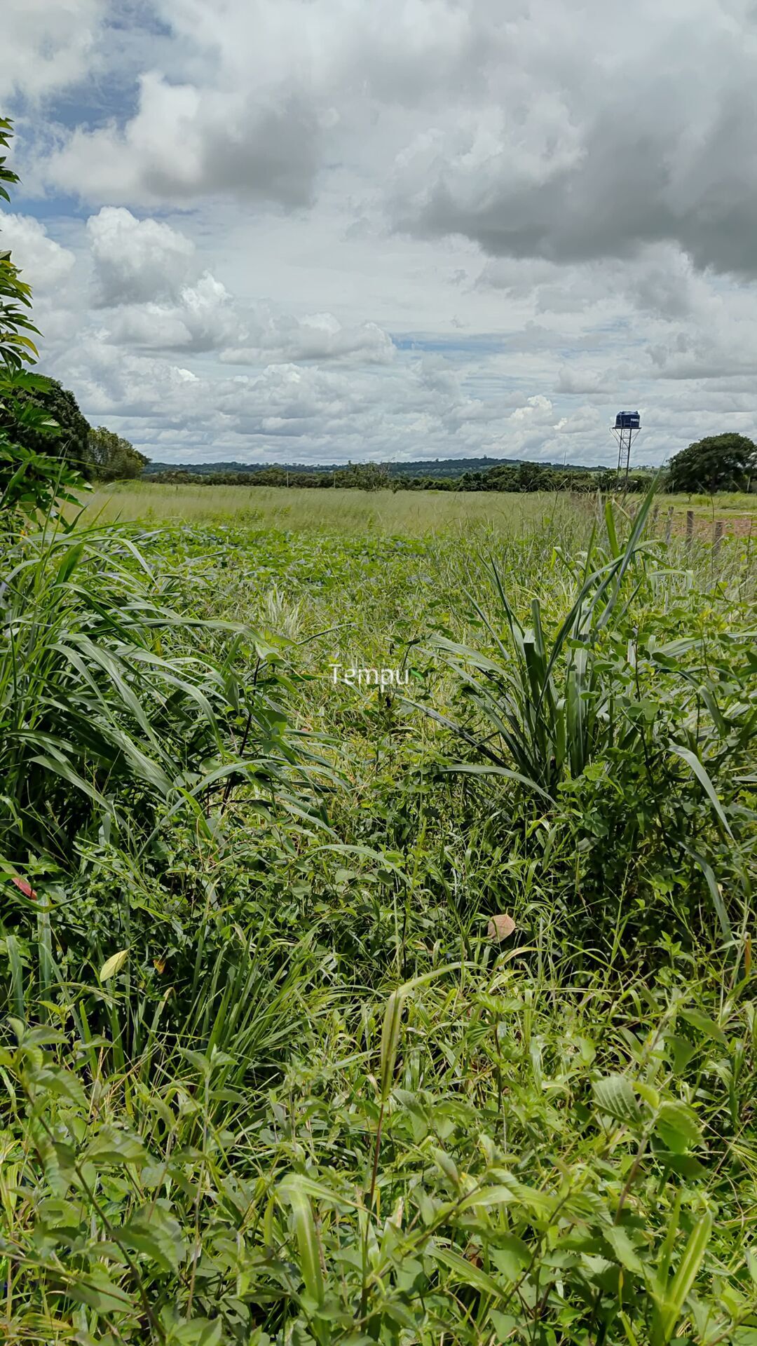 Terreno à venda, 8743m² - Foto 8