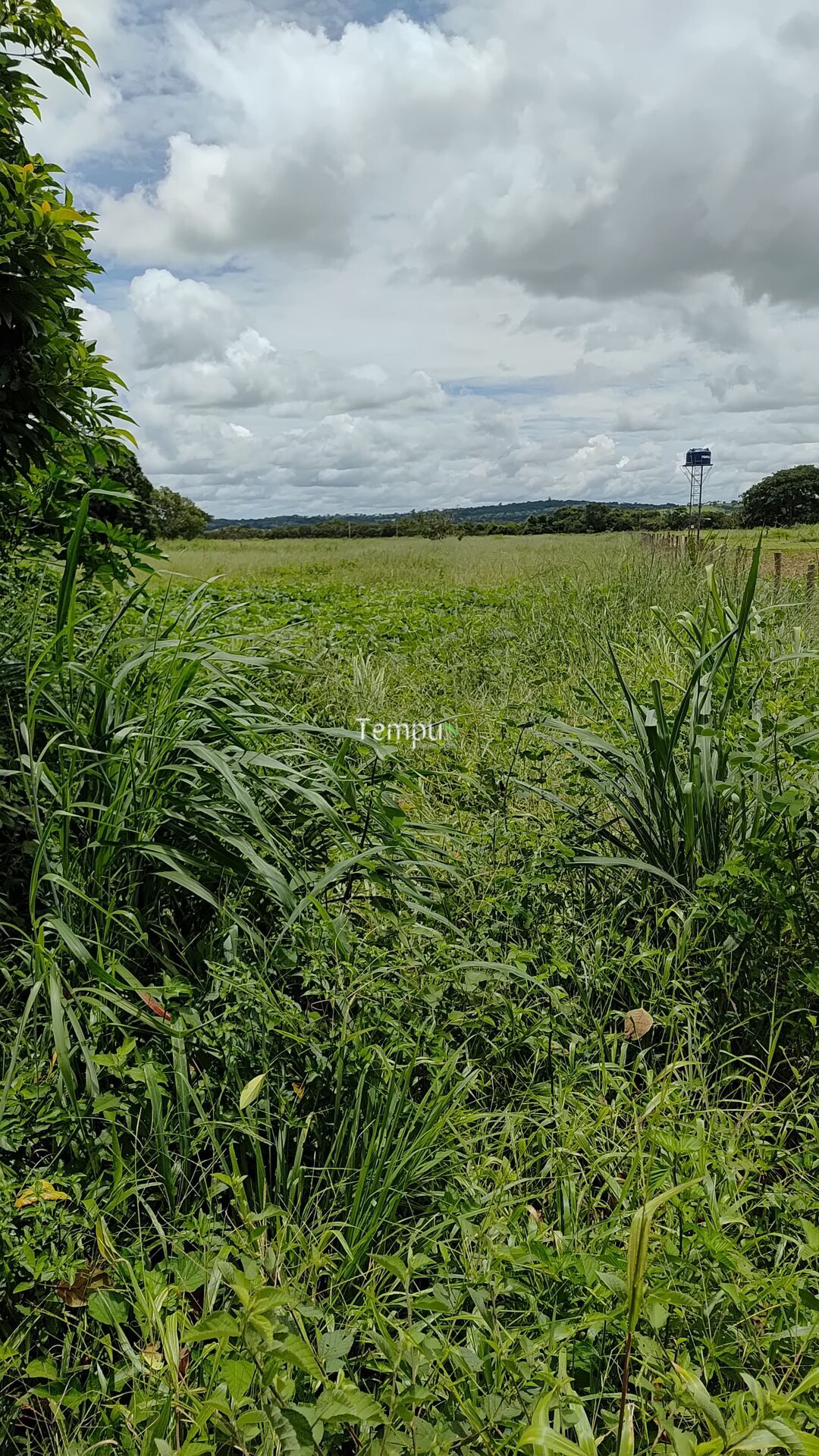 Terreno à venda, 8743m² - Foto 12