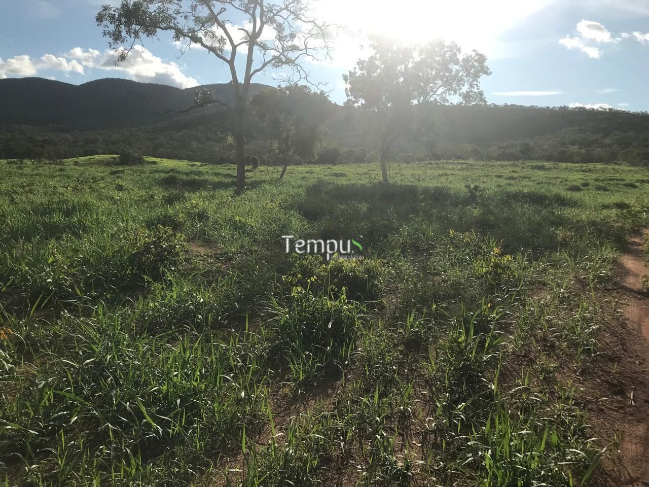 Fazenda, 96 hectares - Foto 17
