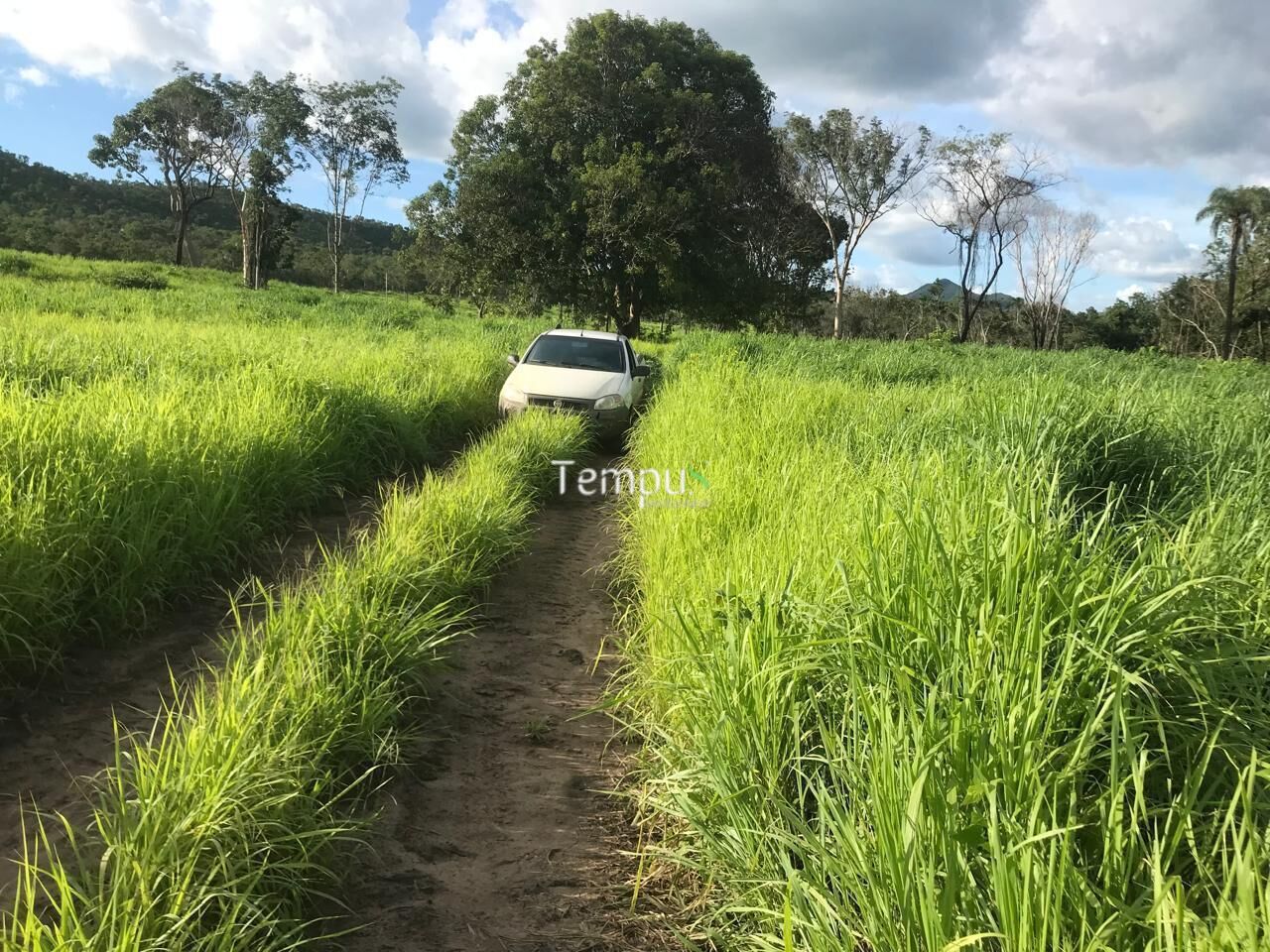 Fazenda, 96 hectares - Foto 11