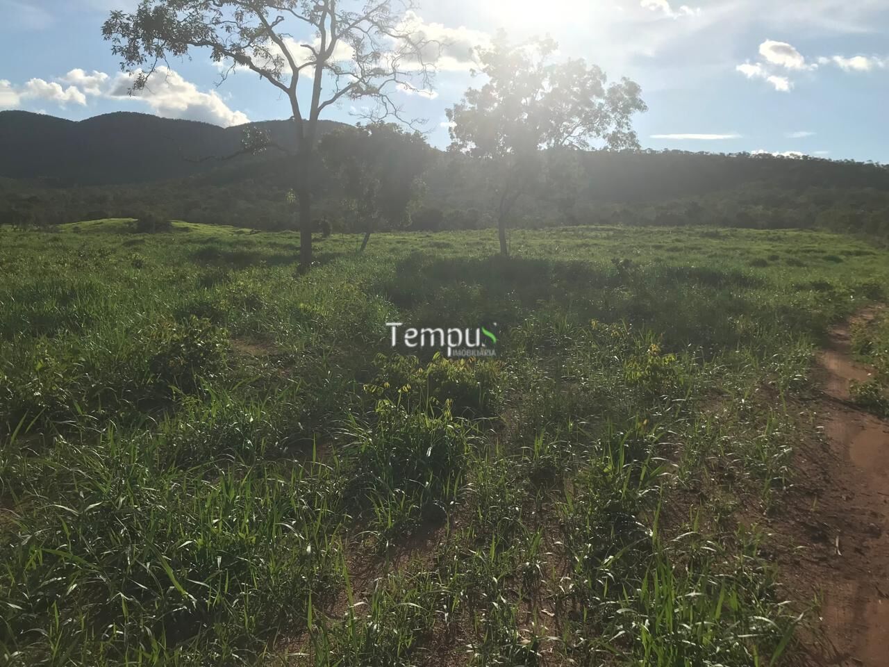 Fazenda, 96 hectares - Foto 14