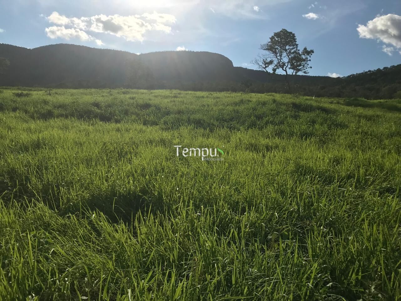 Fazenda, 96 hectares - Foto 8