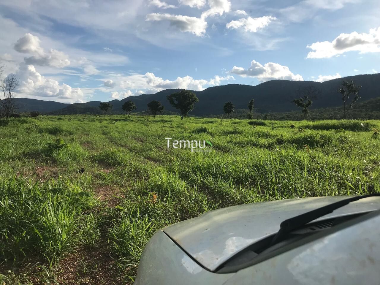 Fazenda, 96 hectares - Foto 19
