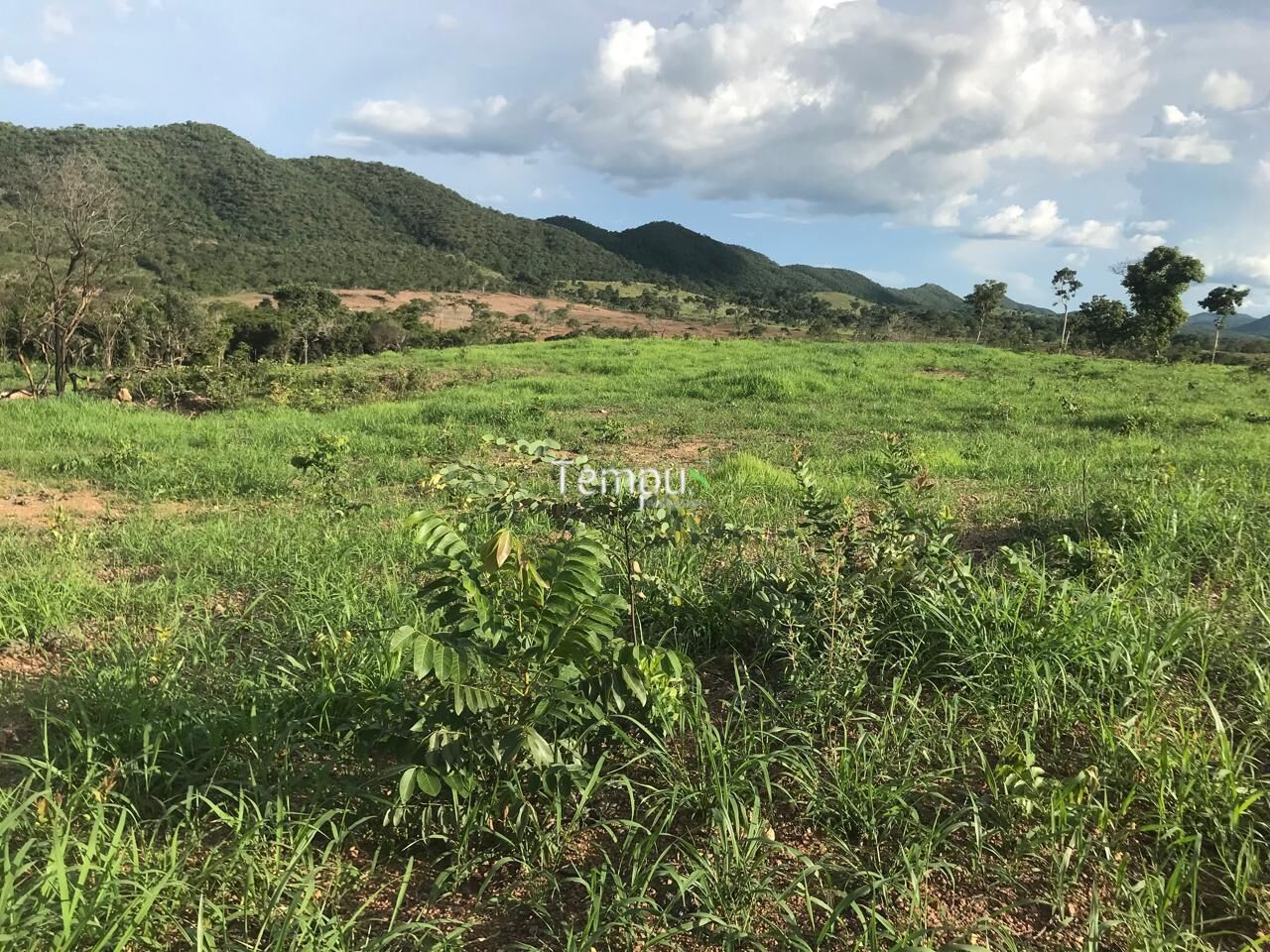 Fazenda, 96 hectares - Foto 20