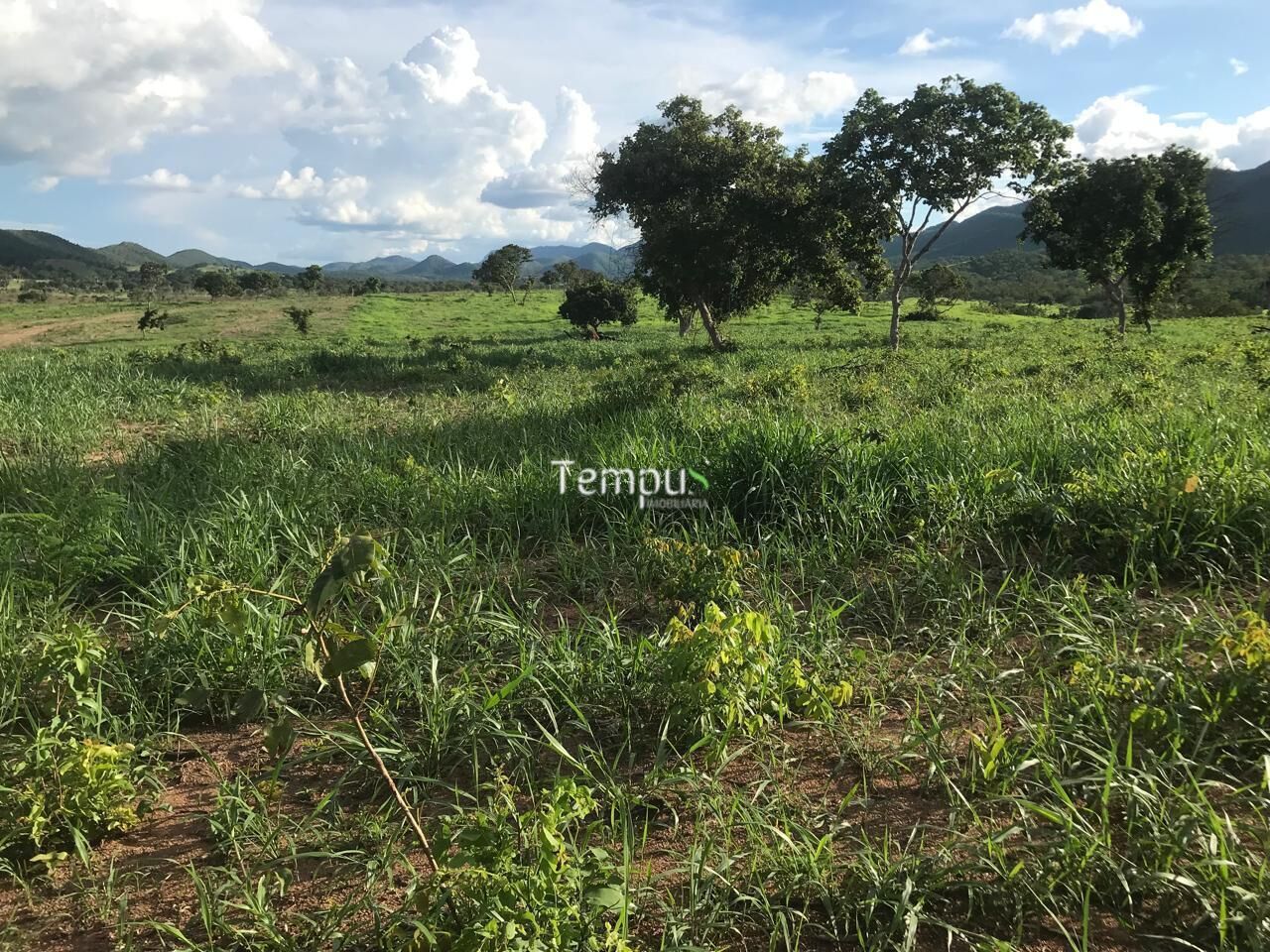 Fazenda, 96 hectares - Foto 12