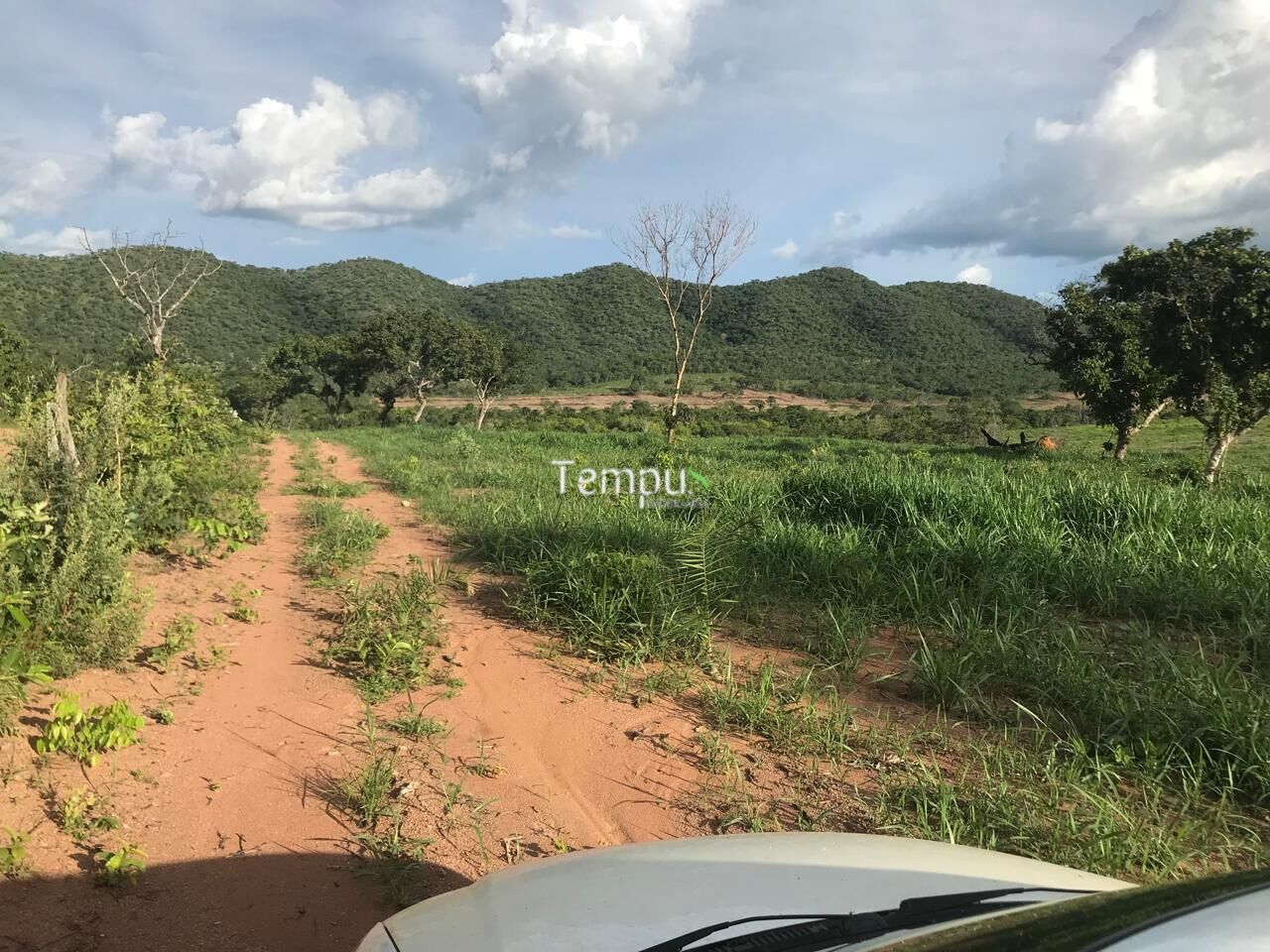 Fazenda, 96 hectares - Foto 16