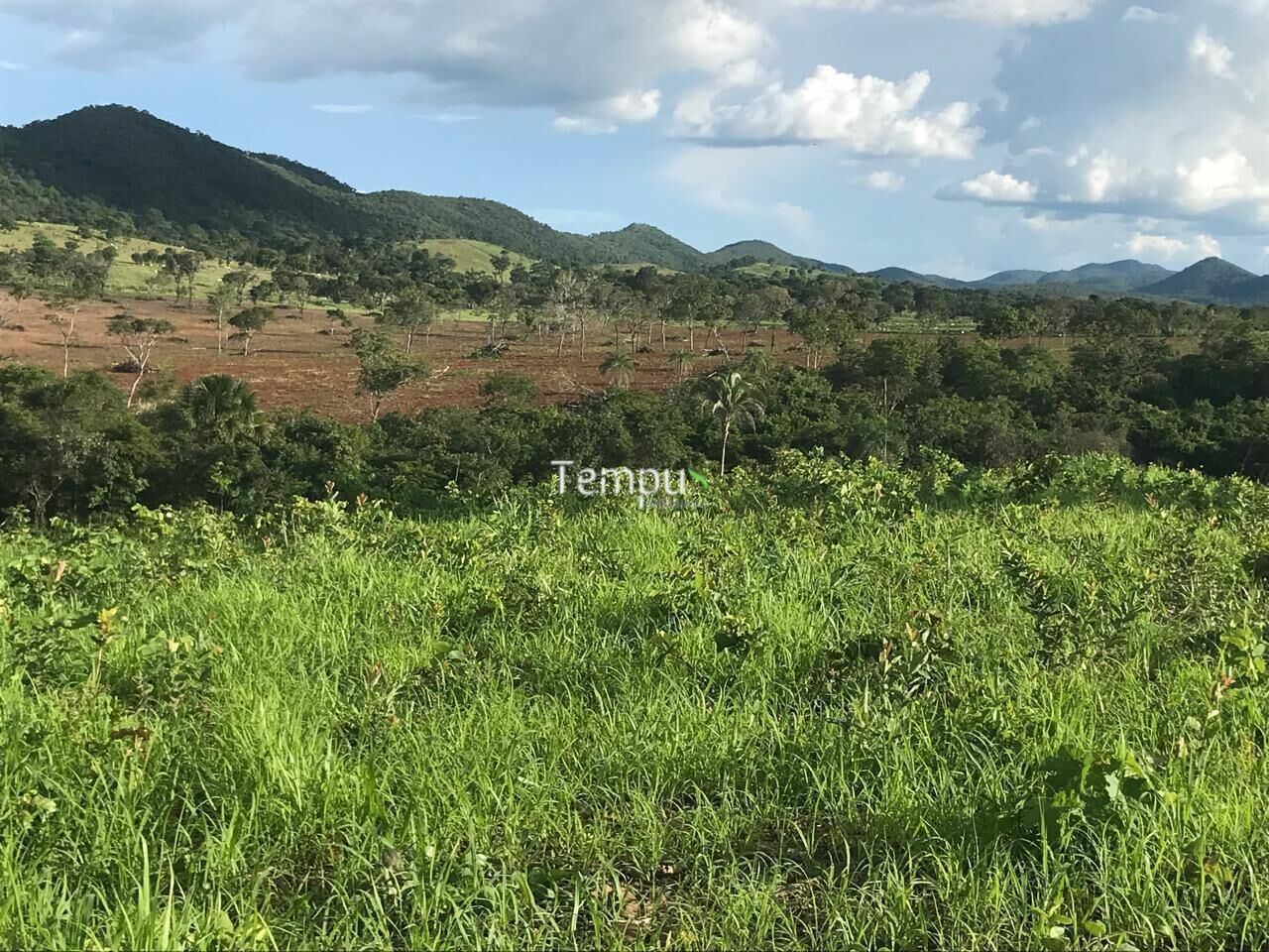 Fazenda, 96 hectares - Foto 28