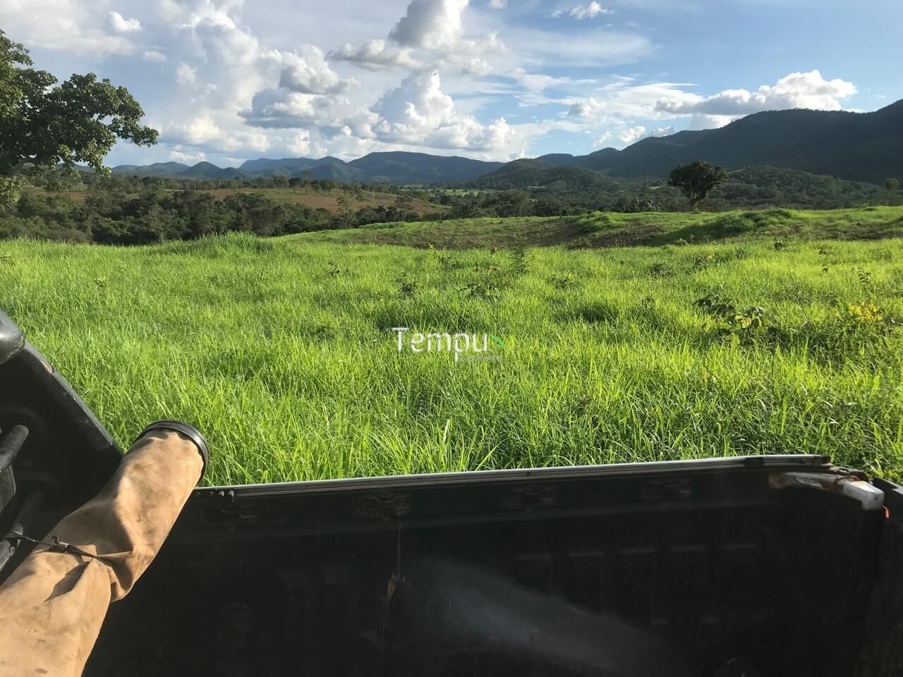 Fazenda, 96 hectares - Foto 21