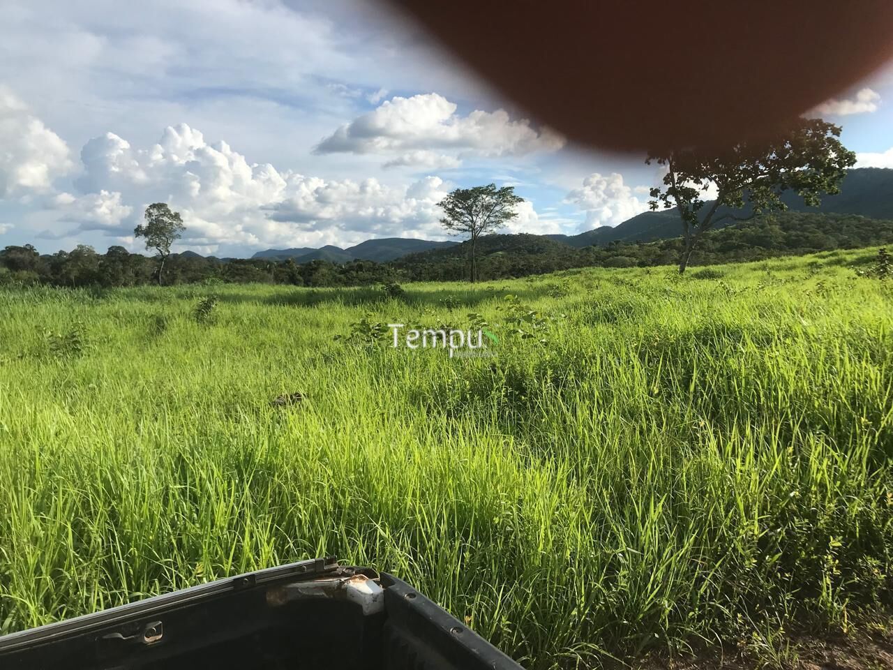 Fazenda, 96 hectares - Foto 4