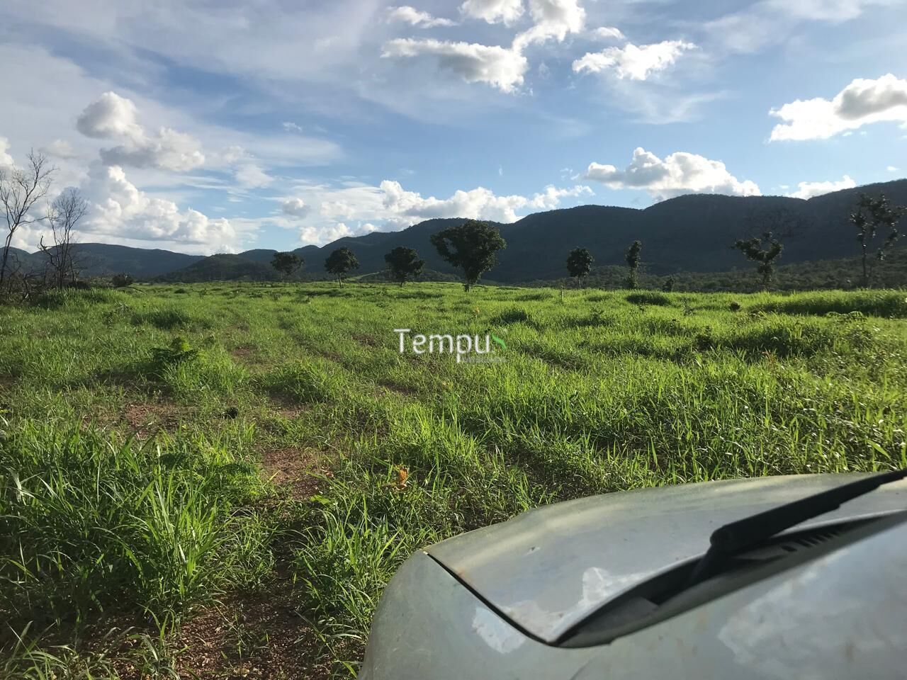 Fazenda, 96 hectares - Foto 18