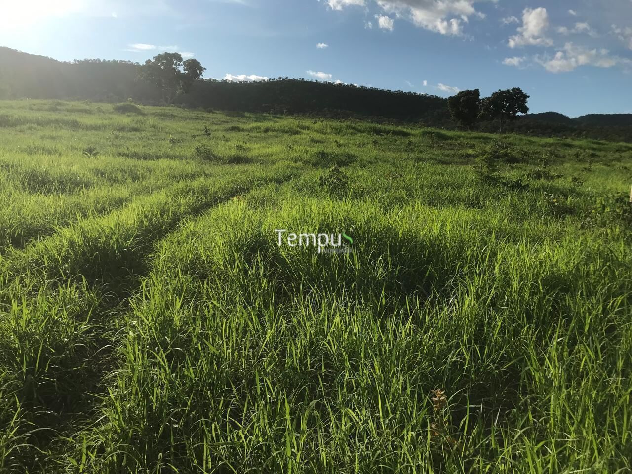 Fazenda, 96 hectares - Foto 22