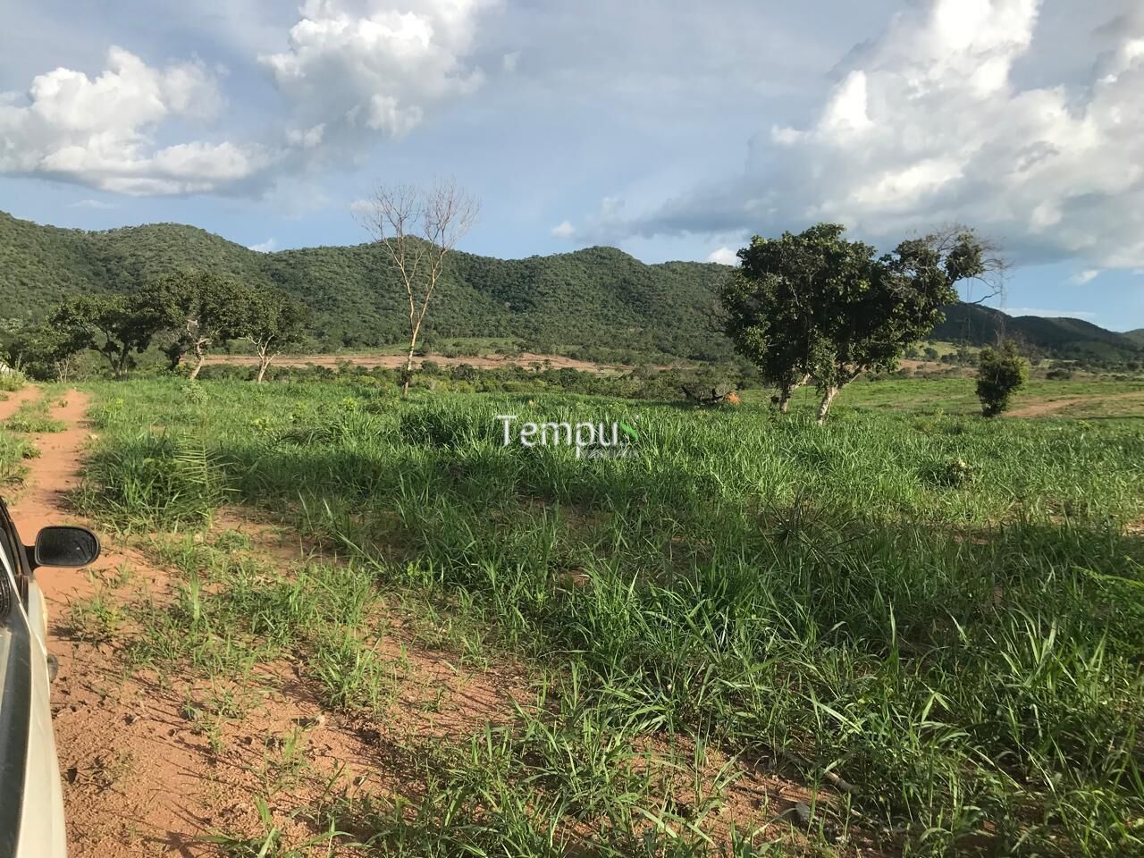 Fazenda, 96 hectares - Foto 15