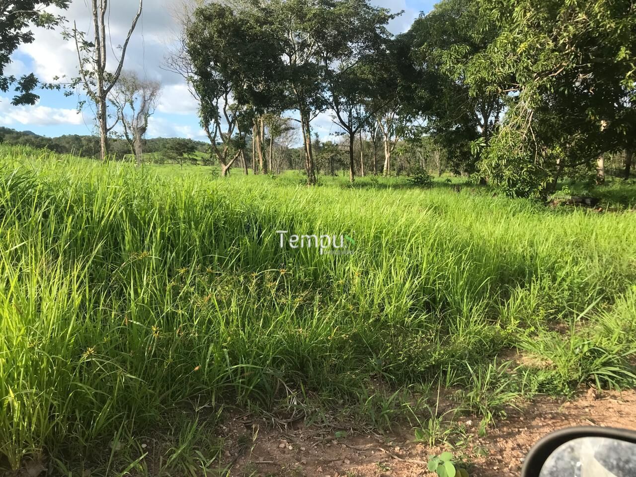 Fazenda, 96 hectares - Foto 6
