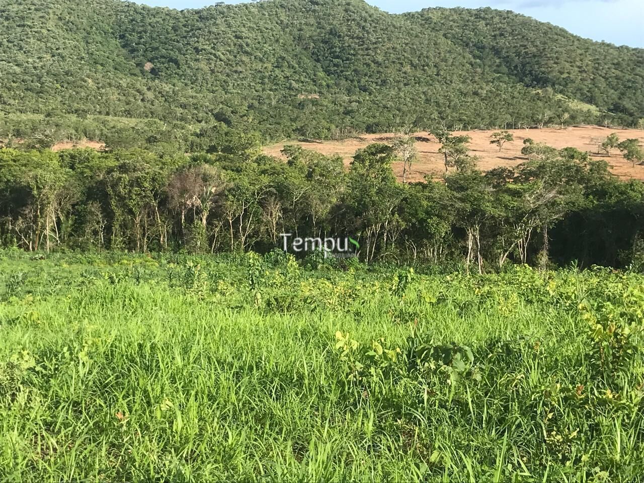 Fazenda, 96 hectares - Foto 32