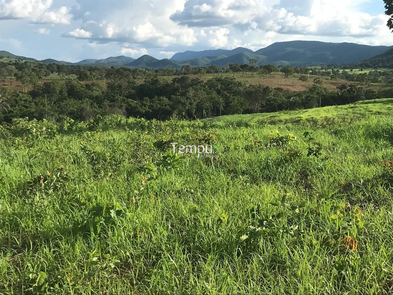 Fazenda, 96 hectares - Foto 24