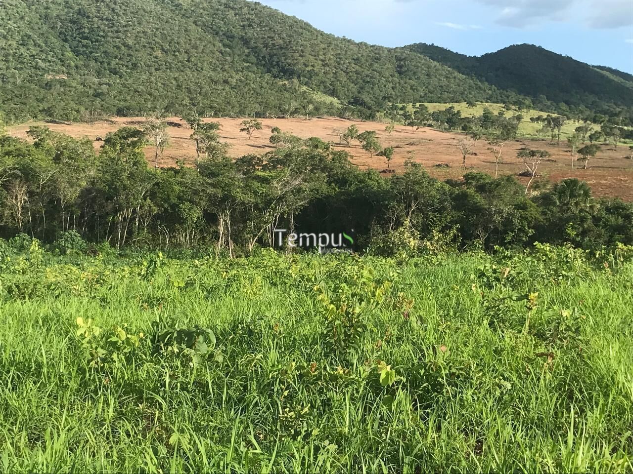 Fazenda, 96 hectares - Foto 26