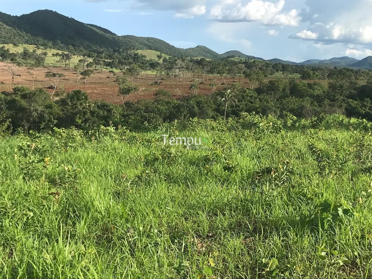 Fazenda, 96 hectares - Foto 25