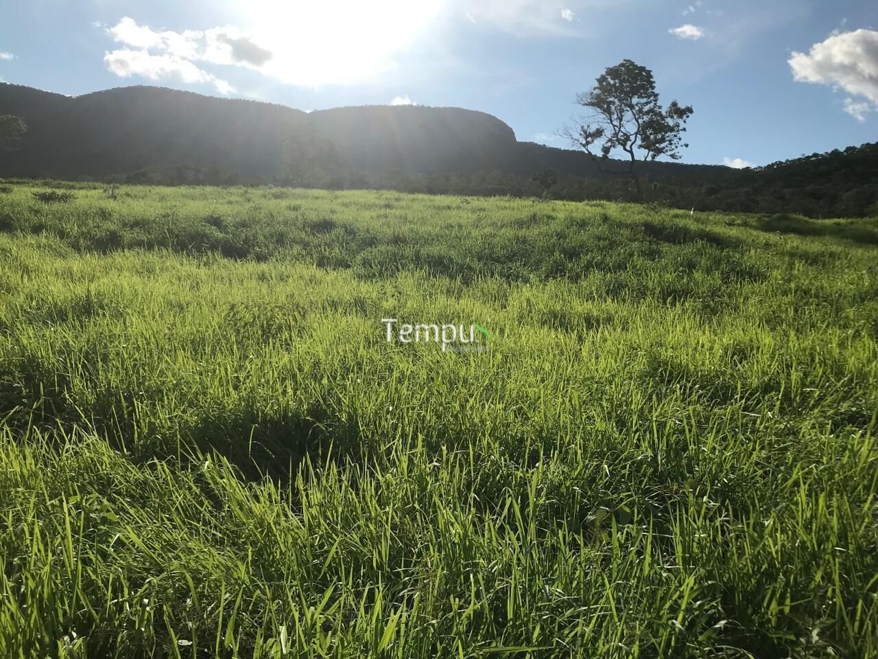 Fazenda, 96 hectares - Foto 7