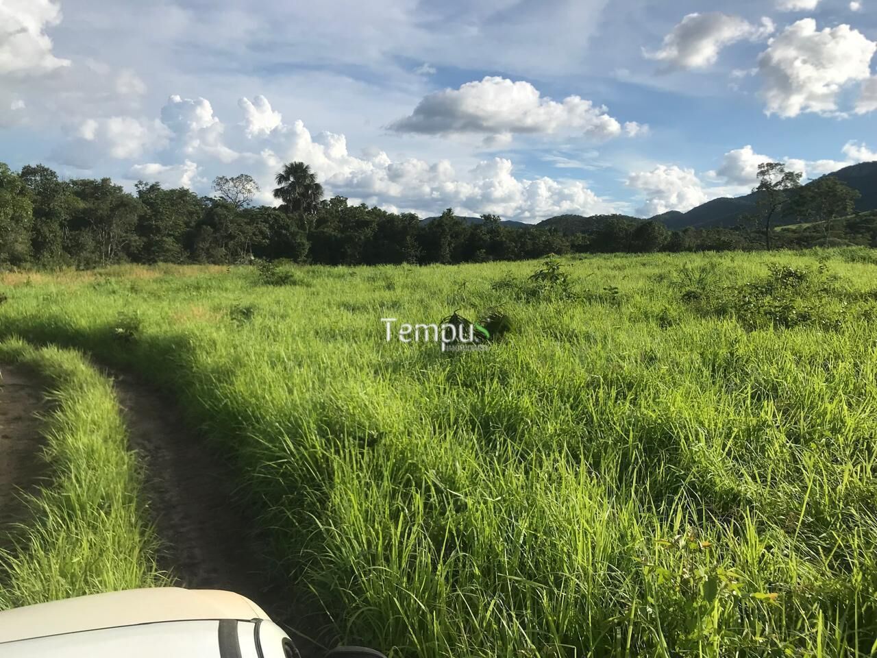 Fazenda, 96 hectares - Foto 13
