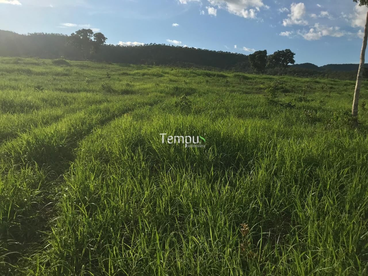 Fazenda, 96 hectares - Foto 27