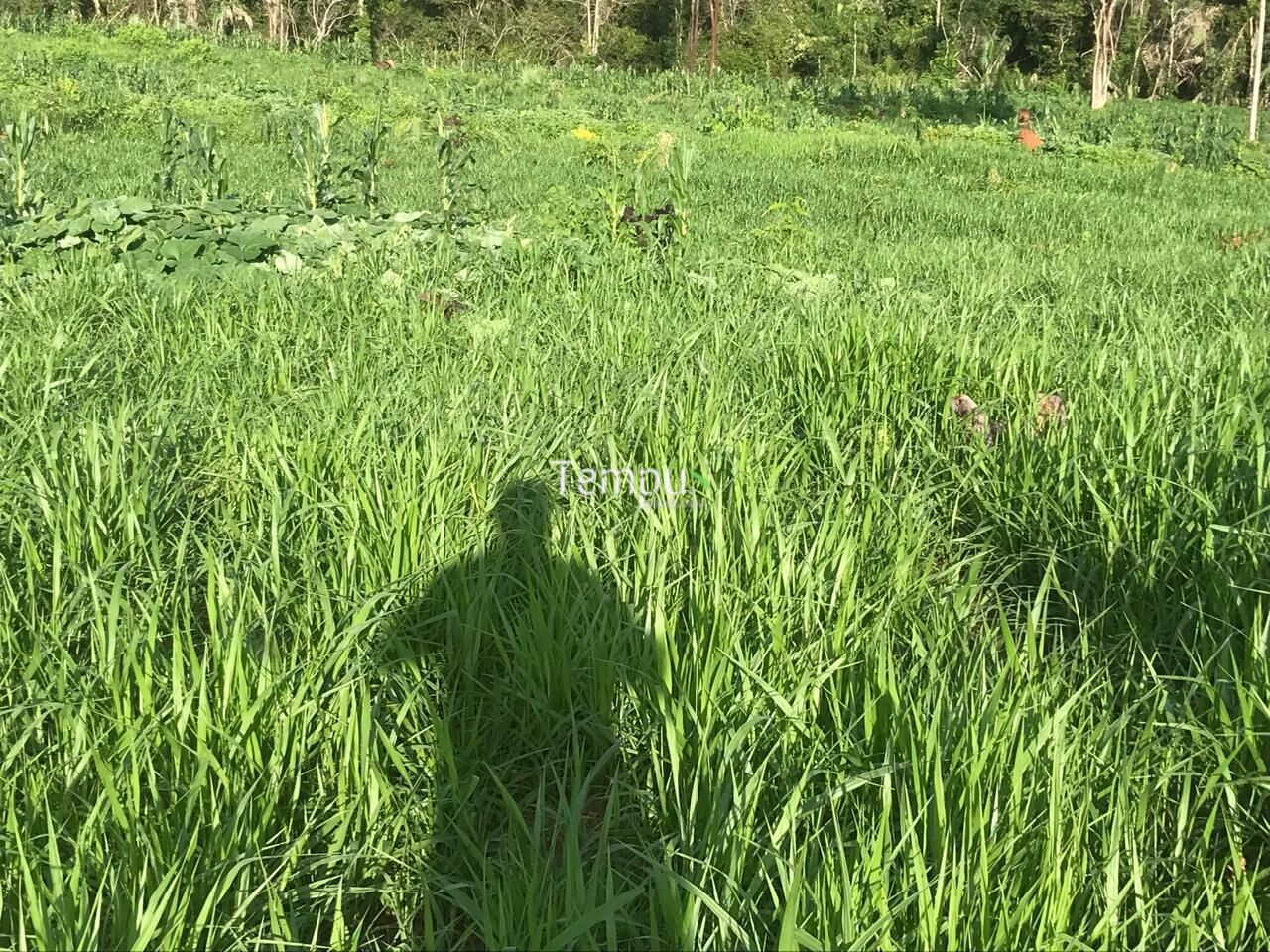 Fazenda, 96 hectares - Foto 31