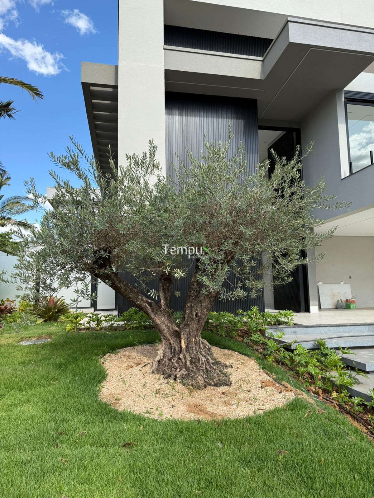 Sobrado, 4 quartos, 320 m² - Foto 3