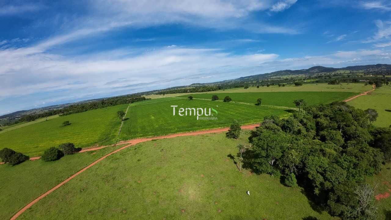 Fazenda à venda com 4 quartos, 30000m² - Foto 6