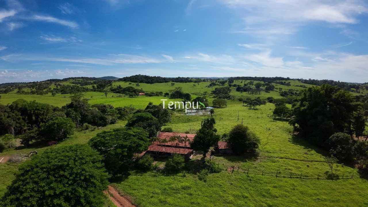 Fazenda à venda com 4 quartos, 30000m² - Foto 8