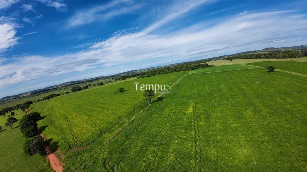 Fazenda à venda com 4 quartos, 30000m² - Foto 17