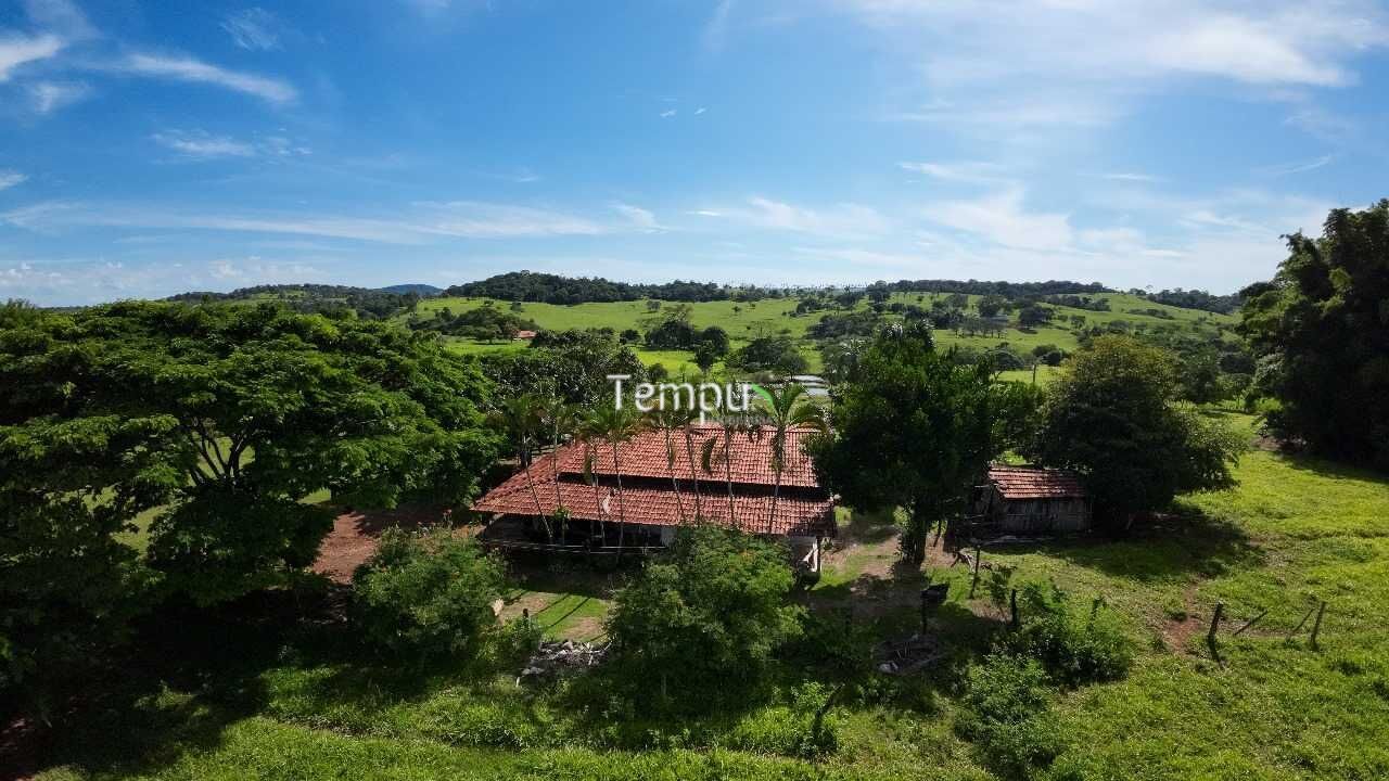 Fazenda à venda com 4 quartos, 30000m² - Foto 9