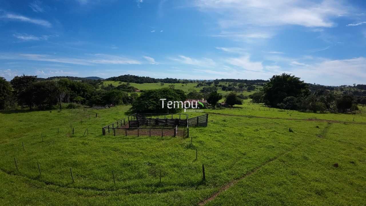 Fazenda à venda com 4 quartos, 30000m² - Foto 11