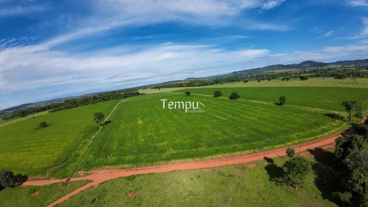 Fazenda à venda com 4 quartos, 30000m² - Foto 22