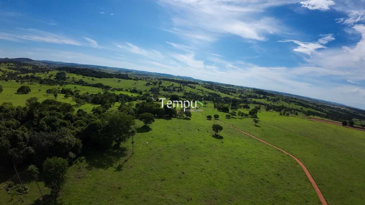 Fazenda à venda com 4 quartos, 30000m² - Foto 14