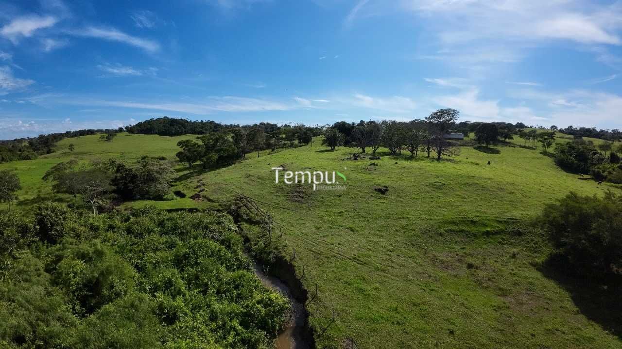 Fazenda à venda com 4 quartos, 30000m² - Foto 3