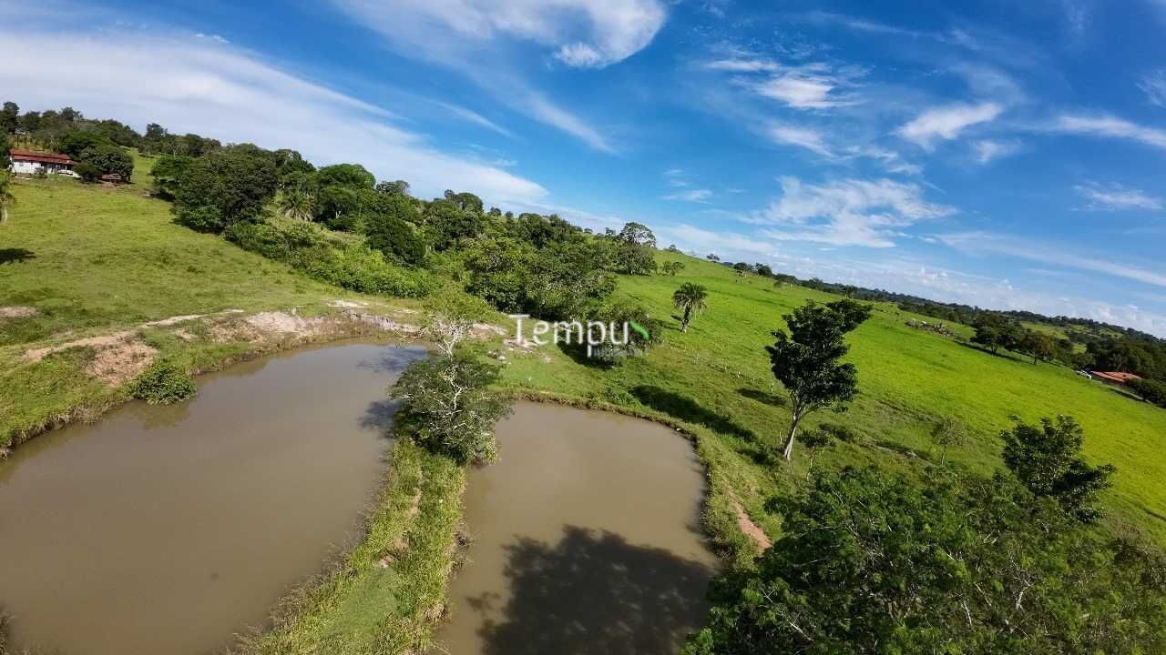 Fazenda à venda com 4 quartos, 30000m² - Foto 15