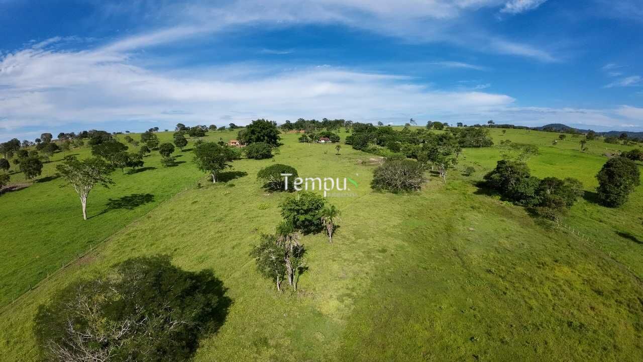 Fazenda à venda com 4 quartos, 30000m² - Foto 2