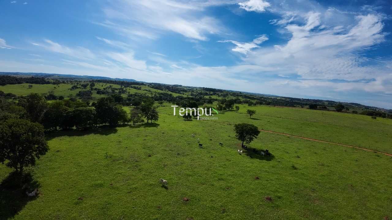 Fazenda à venda com 4 quartos, 30000m² - Foto 10