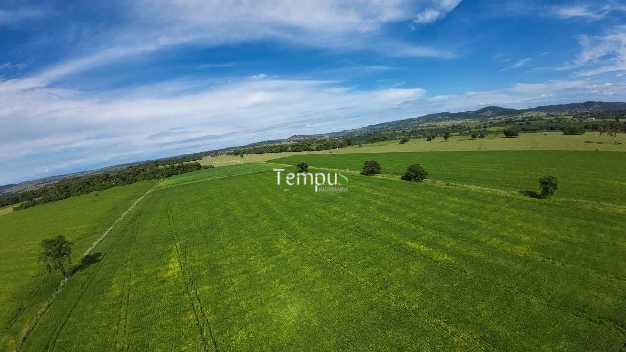 Fazenda à venda com 4 quartos, 30000m² - Foto 7