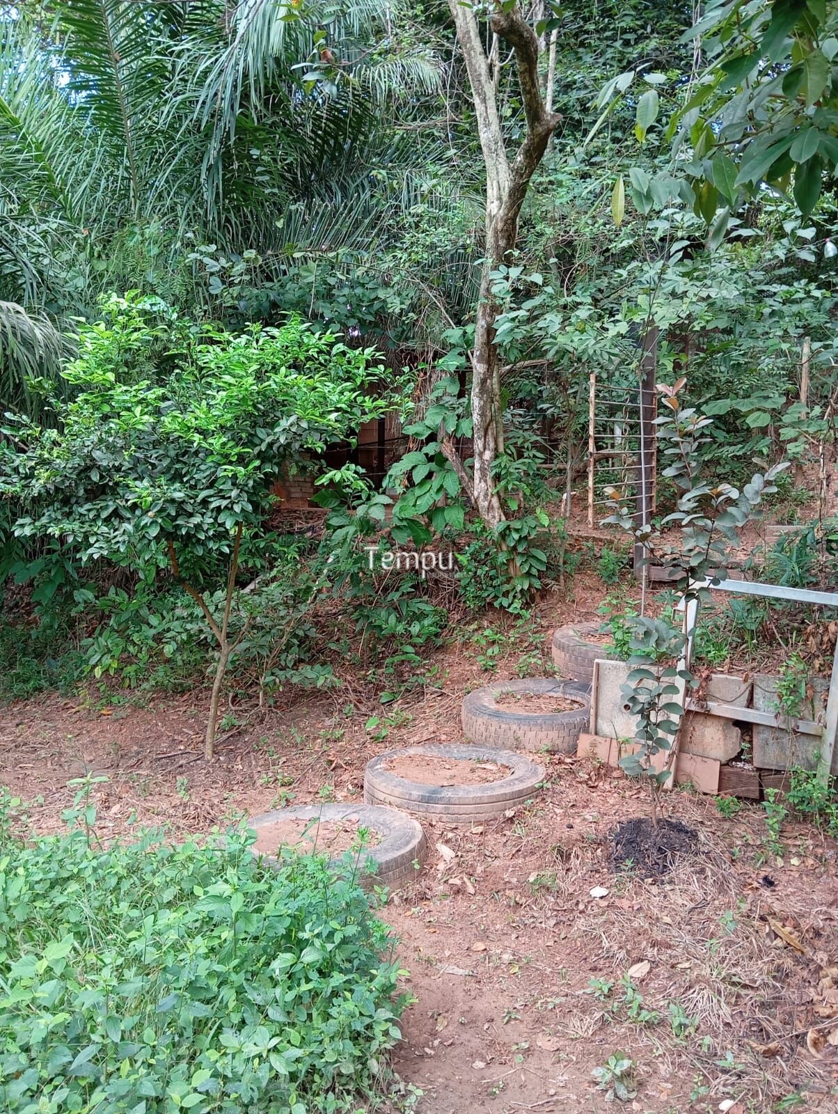Chácara à venda com 1 quarto, 2512m² - Foto 11