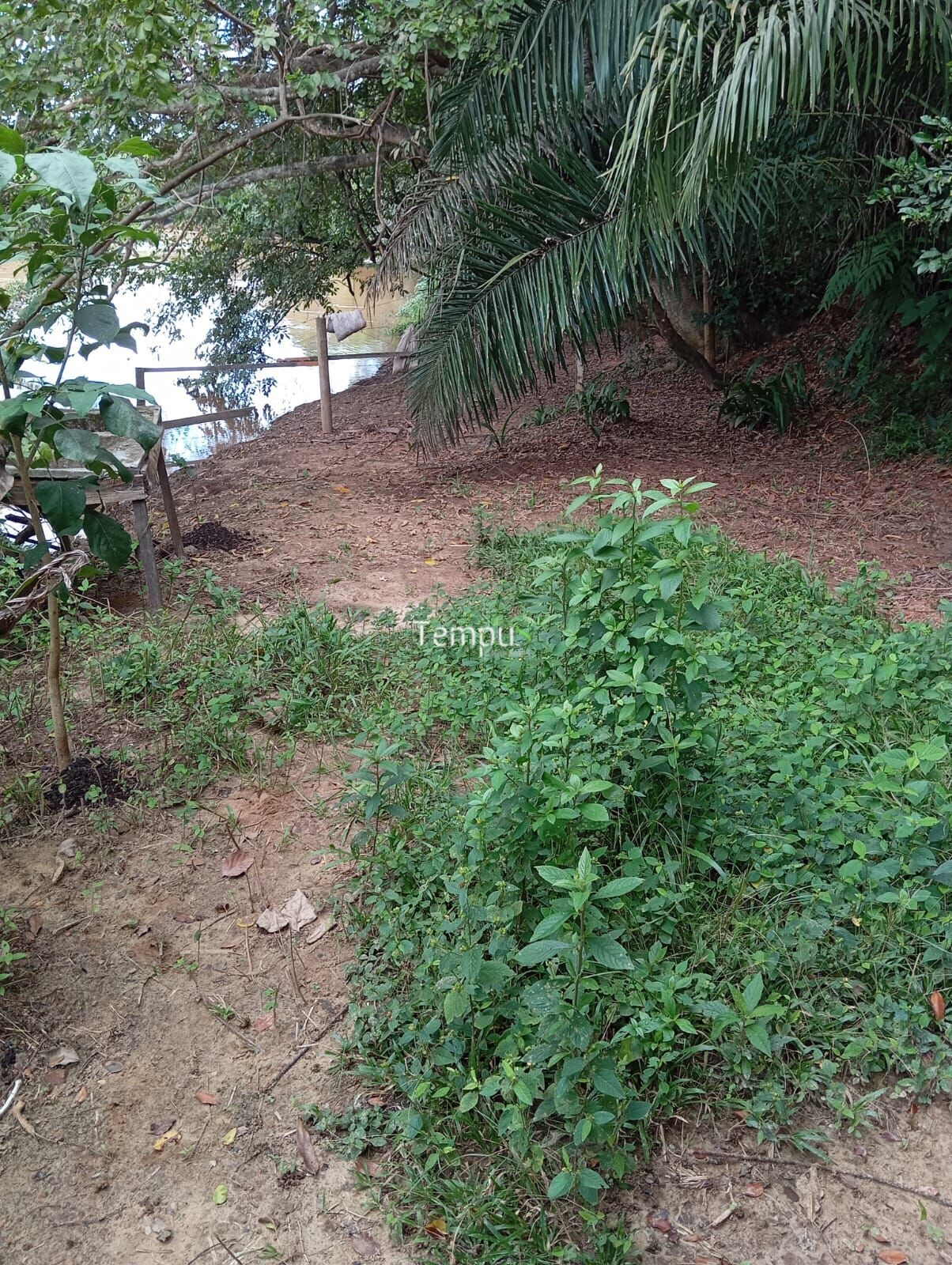 Chácara à venda com 1 quarto, 2512m² - Foto 7
