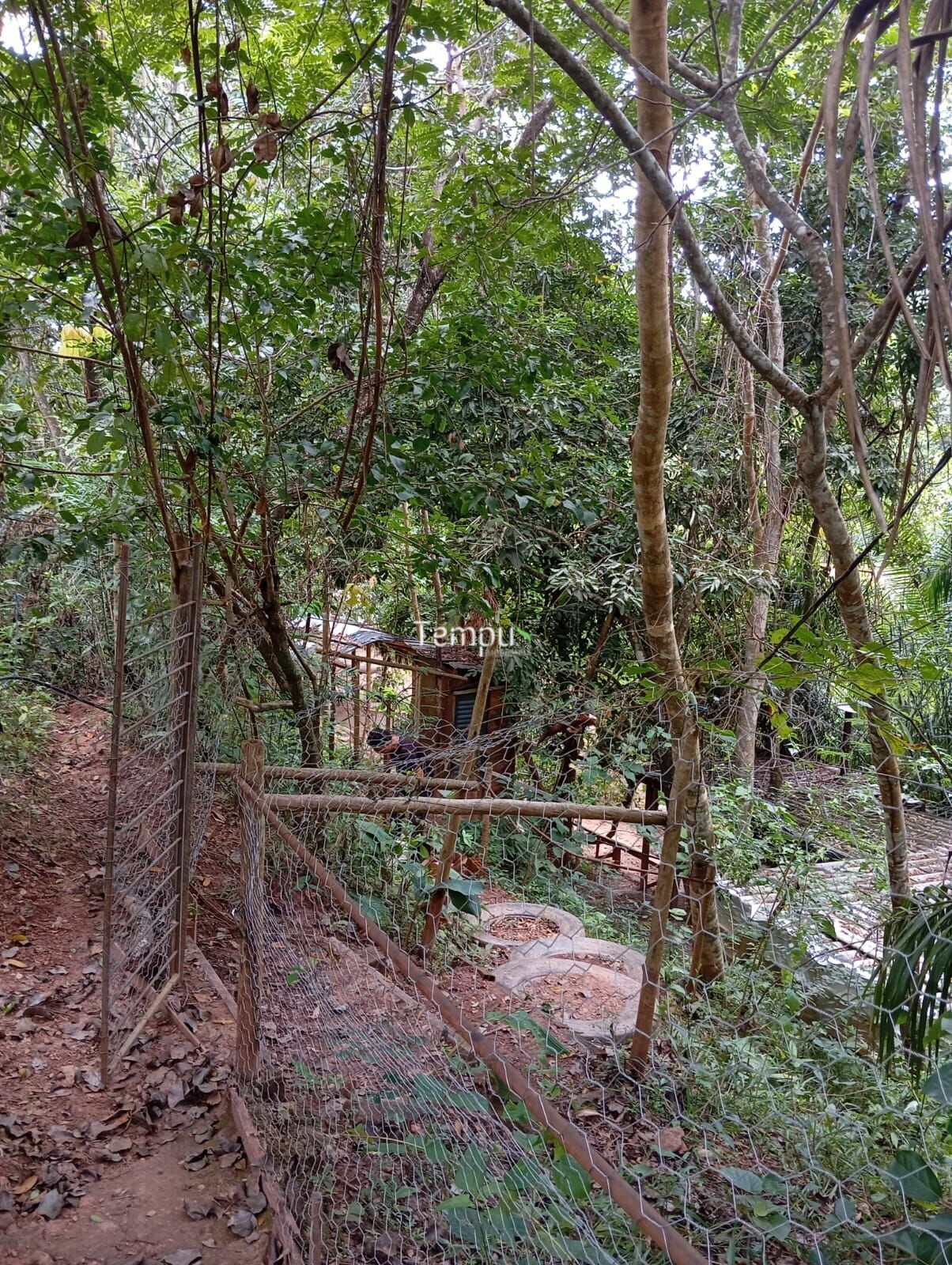 Chácara à venda com 1 quarto, 2512m² - Foto 12