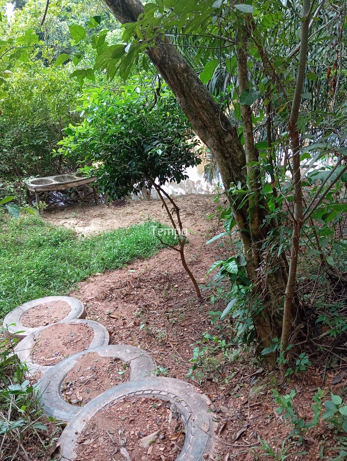 Chácara à venda com 1 quarto, 2512m² - Foto 10