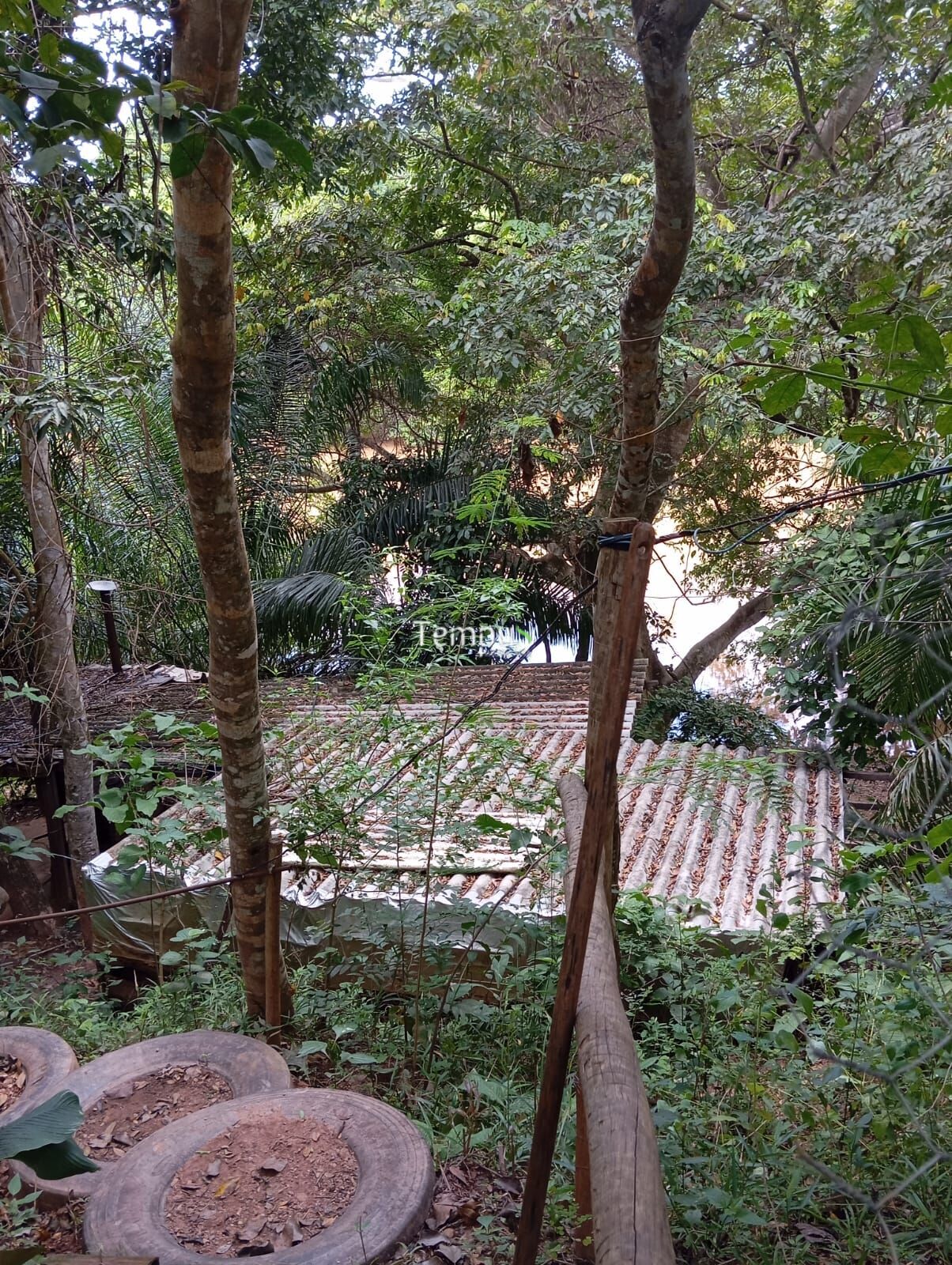 Chácara à venda com 1 quarto, 2512m² - Foto 13