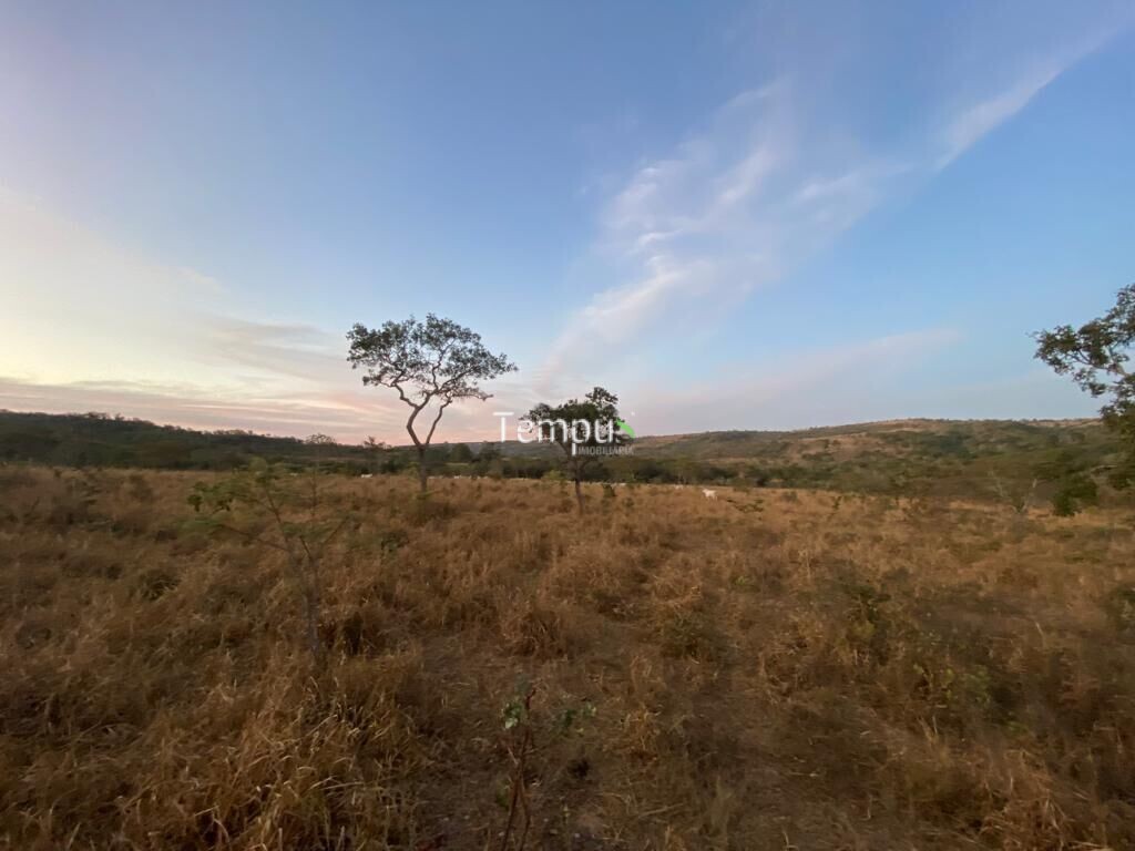 Fazenda à venda com 4 quartos, 1750700m² - Foto 23