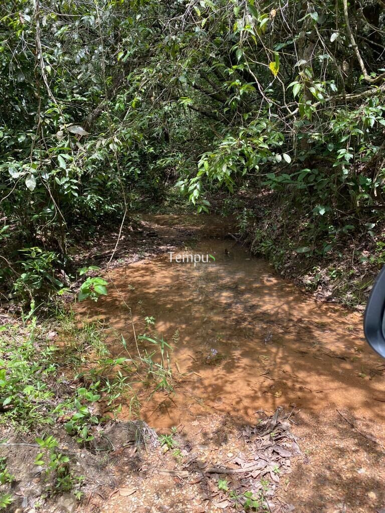 Fazenda à venda com 4 quartos, 1750700m² - Foto 24