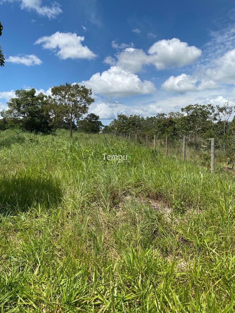 Fazenda à venda com 4 quartos, 1750700m² - Foto 18