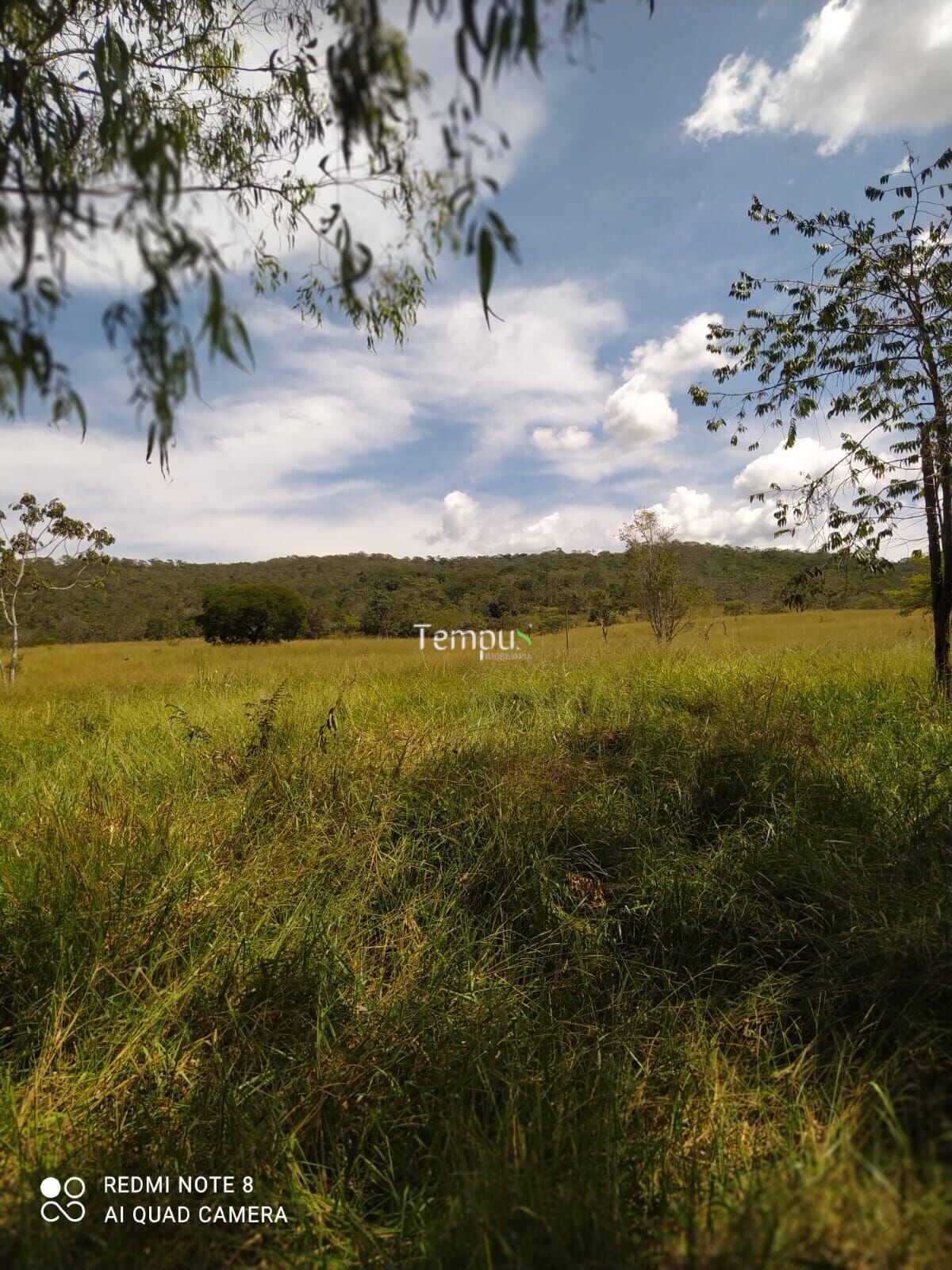 Fazenda à venda com 4 quartos, 1750700m² - Foto 30