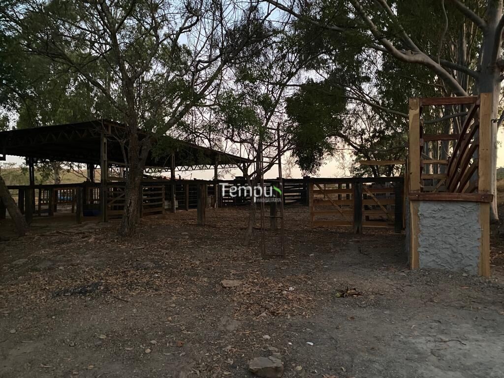 Fazenda à venda com 4 quartos, 1750700m² - Foto 4